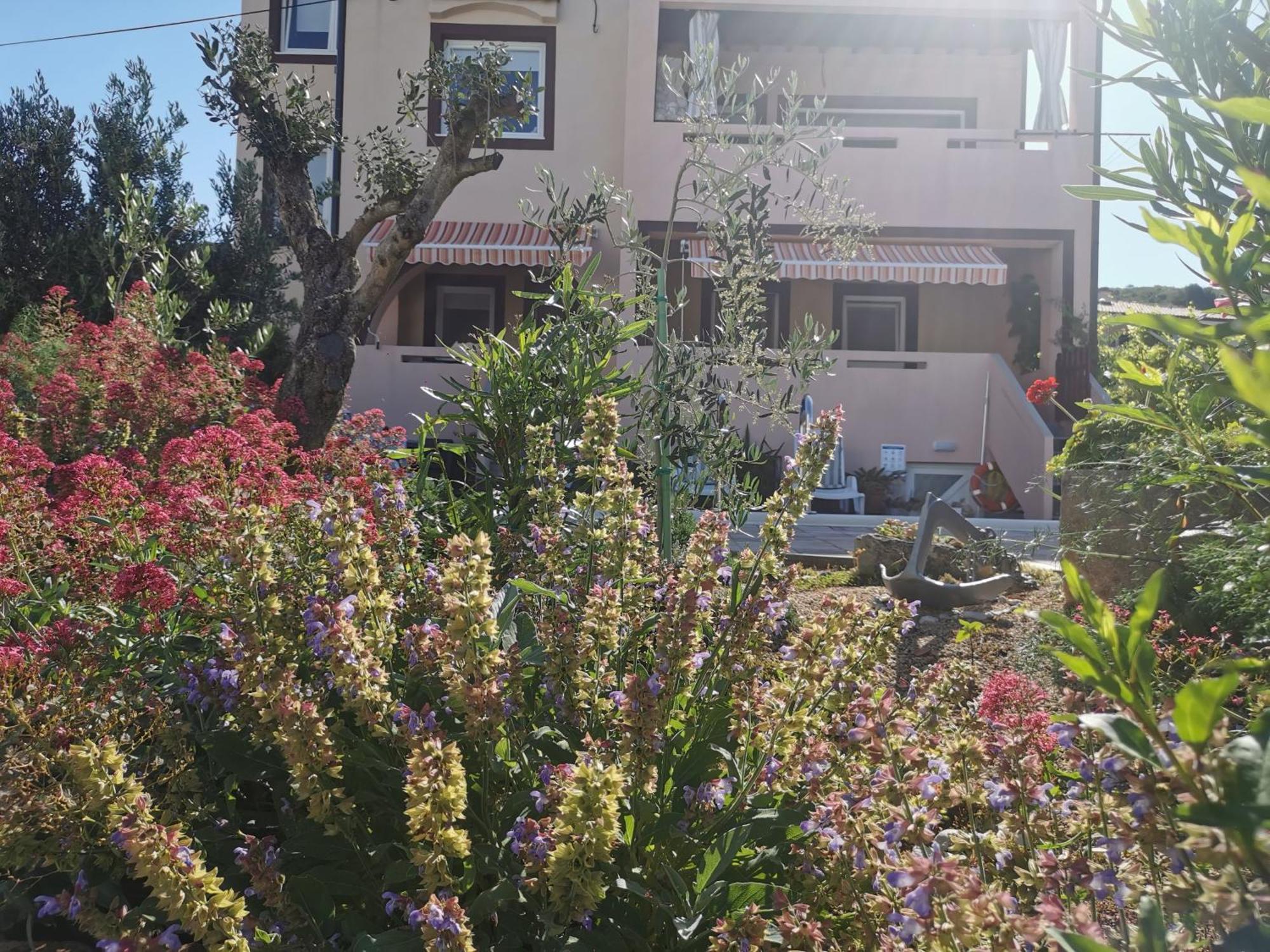 Apartman Franolic Punat Bagian luar foto